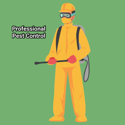 Graphic of a person in protective suit and googles with spray gun in hand. Caption reads Professional Pest Control.