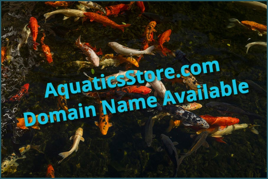 Colorful fish in a tank with caption AquaticsStore.com Domain Name Available.