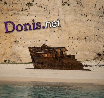 Remains of a shipwreck sitting in sand next to high wall representing Donis.net.